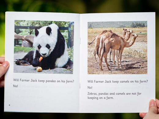 【英国“小学教师奖”金奖】|《阅读之星少儿英语分级阅读》（全185册），内容权威+主题丰富+豪华赠礼，多所名校推荐，2-14岁孩子的英语启蒙神书！ 商品图4