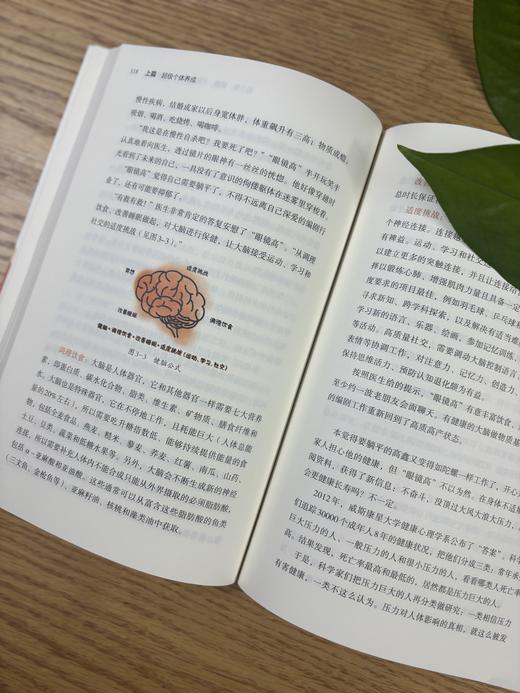 谋定而动 商品图5