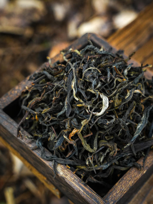 腊月28日中午12点【福利秒杀】助农产品【保塘旧寨单株】2025年头春古树单株！！勐海茶区！兰香蜜韵！！补贴价为保塘品质证明，只为让更多的茶友认识到小众山头，帮助茶农变现！ 第二罐半价，50克/罐 商品图2