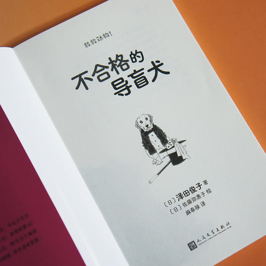 不合格的导盲犬（救救动物！）（它们没能成为“导盲犬小Q”，却用另一种方式照亮你的世界！） 商品图4