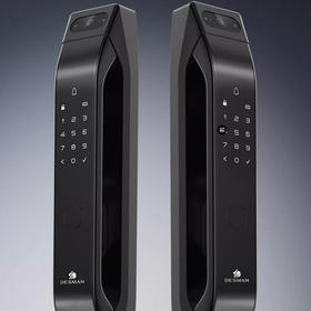 德施曼Q5mplus智能门锁