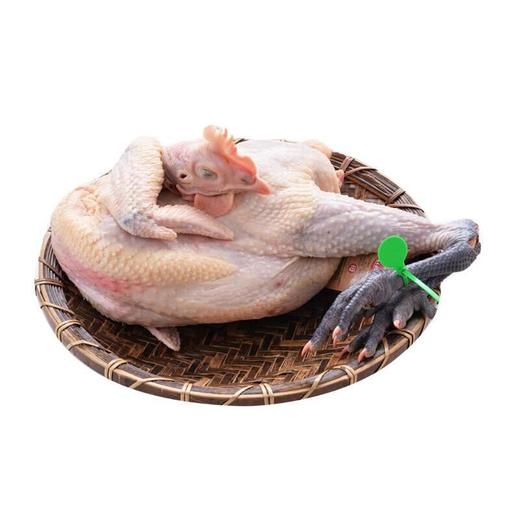 冷鲜 从岭藏鸡/份 商品图1