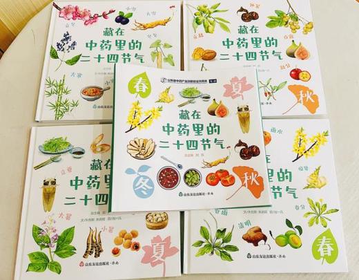 藏在中药里的二十四节气（全四册精装） 商品图2