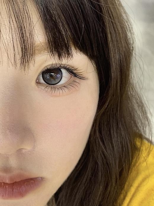 skeye 熊抱布丁 棕/松软泡芙 灰 14.5mm 半年抛 非离子 商品图3