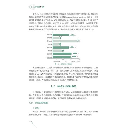 大脑可塑性与教育/课程学习与技术前沿系列教材/耿凤基主编/浙江大学出版社 商品图4