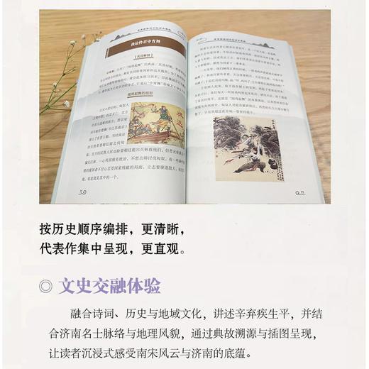 辛弃疾诗词中的历史典故 商品图2