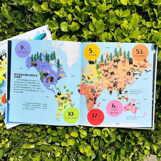 如果世界上只有100只动物 商品图4