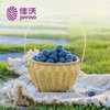 佳沃山地蓝莓14mm+ 约125g/盒 商品缩略图1