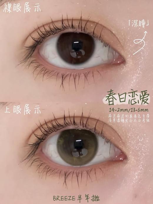 Breeze半年抛-春日恋爱 商品图1