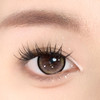 obalen方盒半年抛 【甜丧黑兔】14.5mm 商品缩略图1