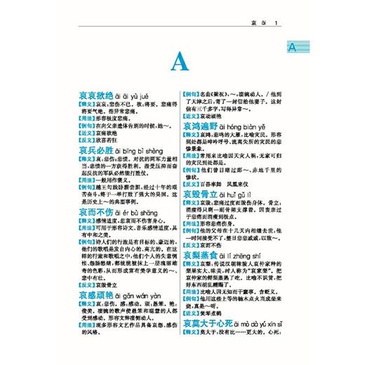 汉语成语词典(双色版) 商品图4
