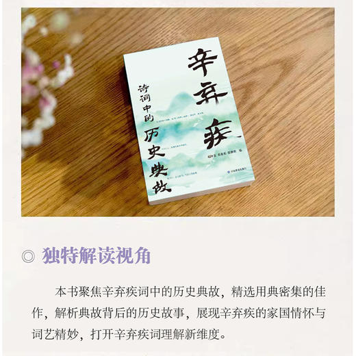 辛弃疾诗词中的历史典故 商品图1