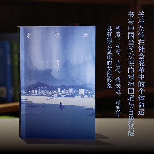 北极光 商品图2