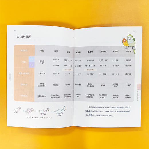 从零开始养鹦鹉 商品图4