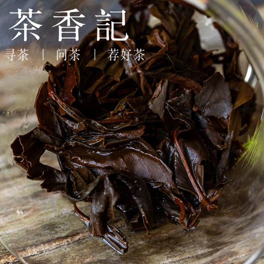 茶香记桐木荒野红茶025茶叶香气见长山野幽韵核心山场荒野出身甜润好喝实惠 商品图4