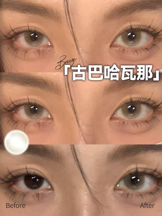 Breeze半年抛-古巴哈瓦那 商品图2