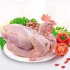 冷鲜 从岭藏鸡/份 商品缩略图3
