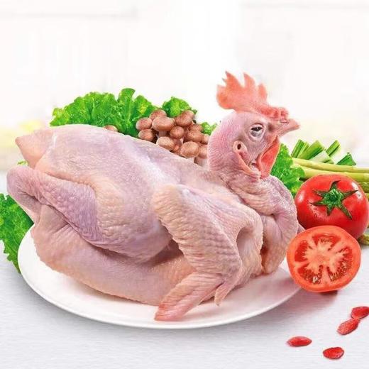 冷鲜 从岭藏鸡/份 商品图3