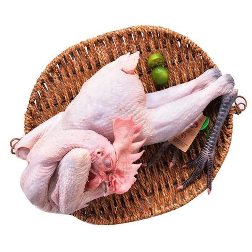 冷鲜 从岭藏鸡/份 商品图0