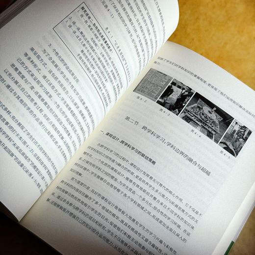 创造性学习的愉悦与深度 商品图4