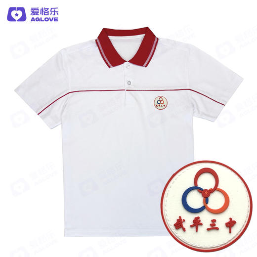 武平第三中学（夏）2025新款 商品图2