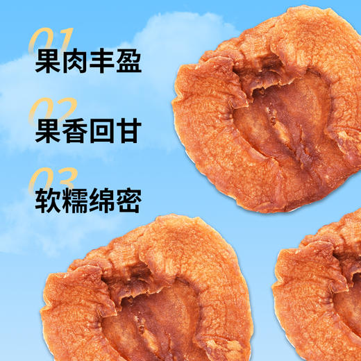 苹果肉干 200g 商品图1