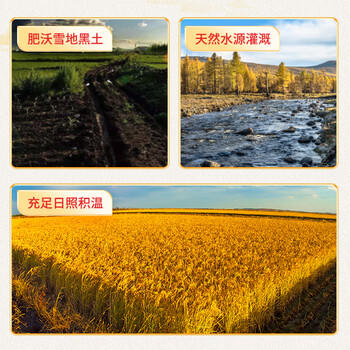 稻可道 东北珍珠米 东北大米20斤（10公斤） /粮油调味 /米 /珍珠米 商品图0