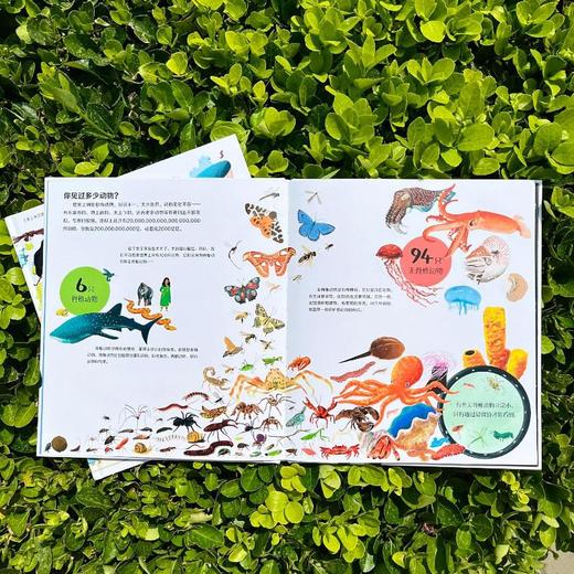 如果世界上只有100只动物 商品图3