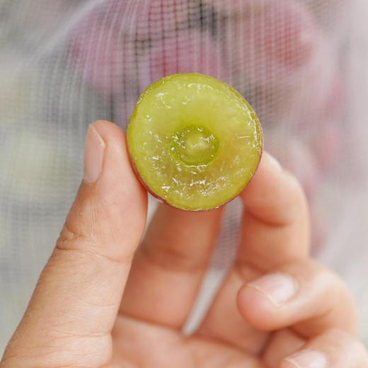🍇葡萄界的爱马仕【下单后一周内发货】妮娜皇后葡萄，新鲜水果红无籽红宝石当季现摘，葡萄女王无籽提子现摘现发【河南发货】京东生鲜 商品图5