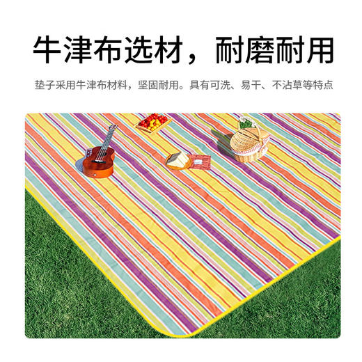 美穗吉家(mihooce)野餐垫户外露营地垫沙滩防水防潮野炊布野外春游垫子 彩虹条纹200*200cm 商品图3