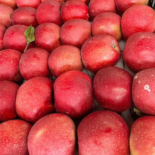 嘎拉苹果 1000g/份 商品图0