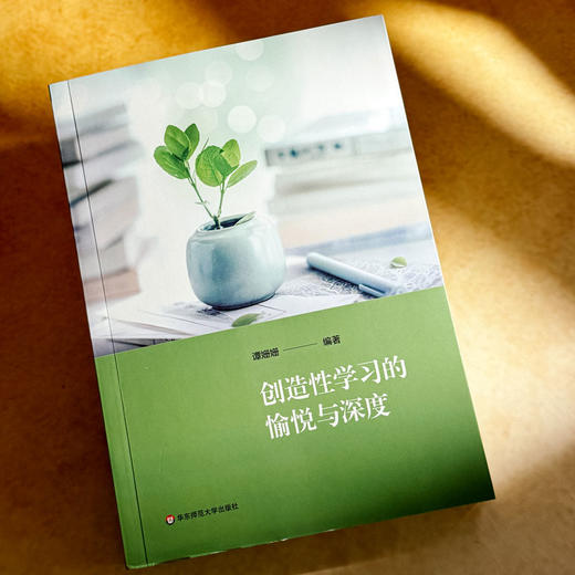 创造性学习的愉悦与深度 商品图1