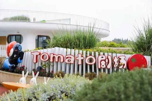 把童话搬进田园🏞️【彭州·绿乐园亲子度假酒店】 商品图7