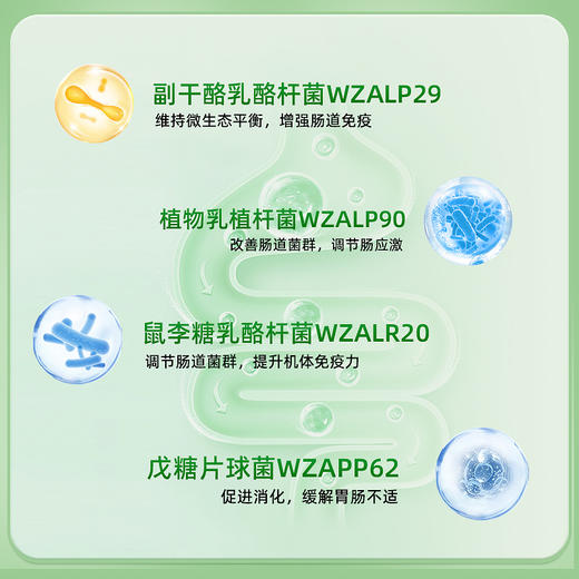 【胃早安】盼啃客后生元新概念煎饼-杂粮 商品图1