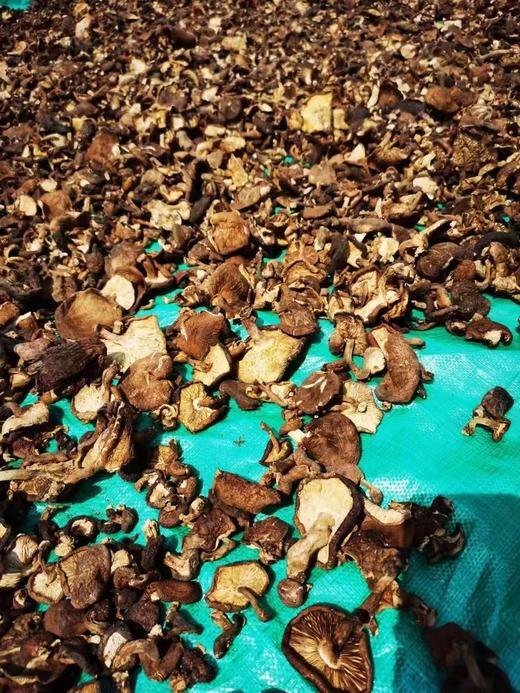 【增值服务】【云南野生干菌】很多朋友在找品质高的野生菌子，福利采购分享 商品图4