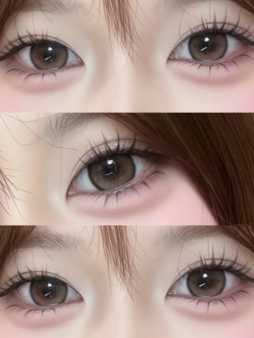 skeye 熊抱布丁 棕/松软泡芙 灰 14.5mm 半年抛 非离子 商品图2