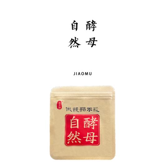 酵母 10g/袋 商品图0