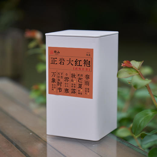守艺 · 2023正岩大红袍 75g/500g 武夷岩茶 商品图0