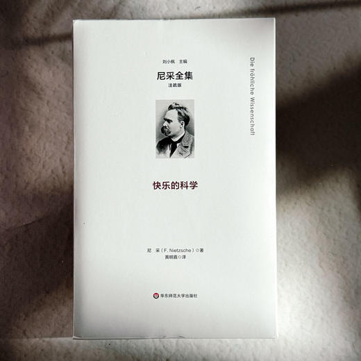 快乐的科学 尼采全集 注疏版 尼采中期代表作 《朝霞》续集 商品图1