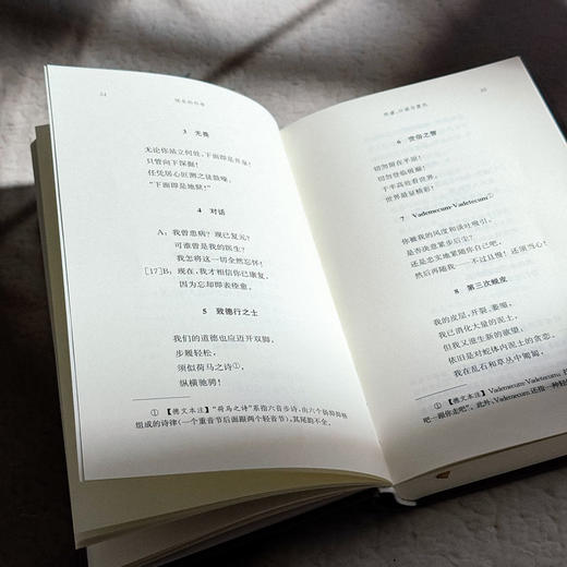 快乐的科学 尼采全集 注疏版 尼采中期代表作 《朝霞》续集 商品图10