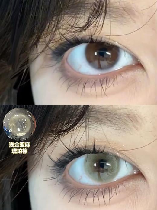 Breeze半年抛-古巴哈瓦那 商品图10