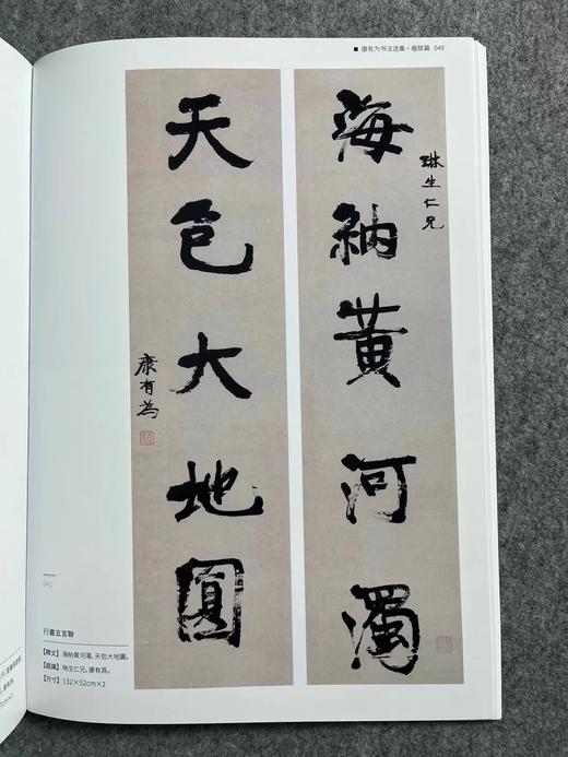 【康有为书法选集】散落人间系列丛书 商品图7