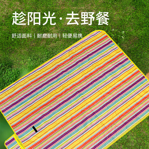 美穗吉家(mihooce)野餐垫户外露营地垫沙滩防水防潮野炊布野外春游垫子 彩虹条纹200*200cm 商品图1