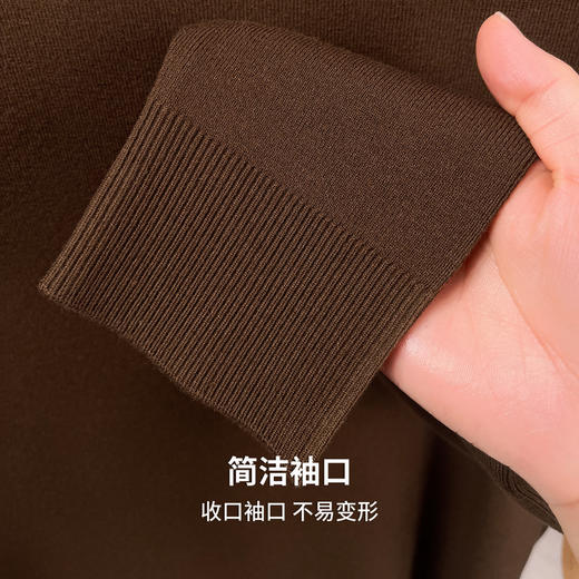 【含山羊绒】圣得西男士保暖锁温半高领针织衫2025秋季新款百搭毛衣 商品图7