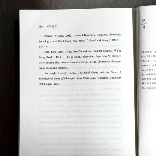 VIP世界 美貌经济的社会学透视 阿什利·米尔斯 性别研究 薄荷实验 商品图14