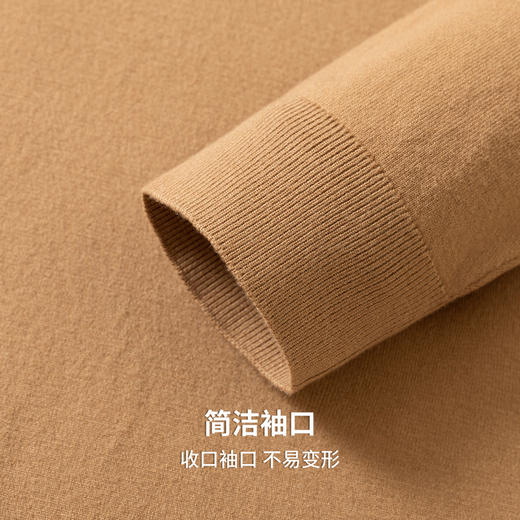 圣得西男士娟丝绒平板薄毛衫2025秋季柔软易打理时尚百搭针织衫 商品图8