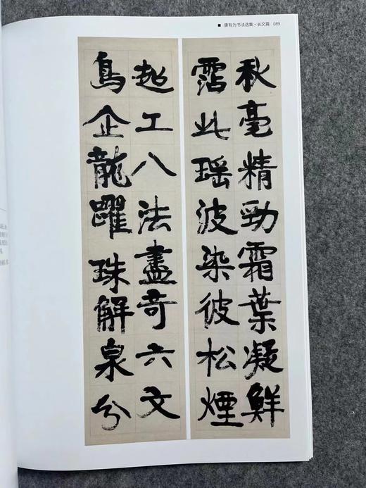 【康有为书法选集】散落人间系列丛书 商品图4