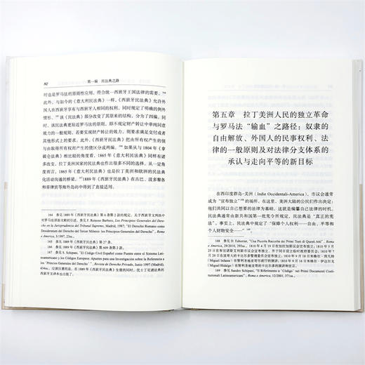 民法典导论(意大利民商法丛书) 商品图11