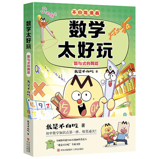 数学太好玩.数与式的舞蹈 商品图3