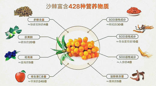 【每周四发货】【野生沙棘原浆】小果沙棘原浆 全果原浆（未提取沙棘油）  维C丰富  50ml*10支/盒 商品图3